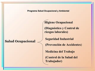 Programa Salud Ocupacional y Ambiental Salud O cupacional Higiene Ocupacional (Diagnóstico y Control de riesgos laborales)...
