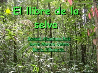 El llibre de la selva Samuel Alcantara Reis Sonia Moreno Calero Berta Villaverde  