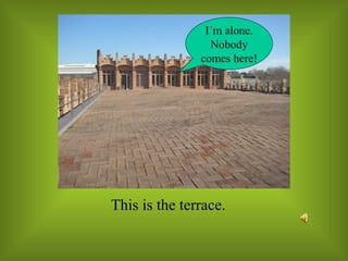 This is the terrace. I´m alone. Nobody comes here! 
