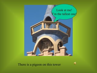 Look at me! I’m the tallest one! 