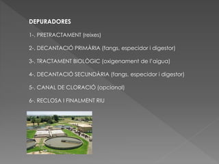 DEPURADORES
1-. PRETRACTAMENT (reixes)
2-. DECANTACIÓ PRIMÀRIA (fangs, especidor i digestor)
3-. TRACTAMENT BIOLÒGIC (oxigenament de l’aigua)
4-. DECANTACIÓ SECUNDÀRIA (fangs, especidor i digestor)
5-. CANAL DE CLORACIÓ (opcional)
6-. RECLOSA I FINALMENT RIU
 
