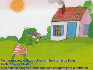 No dia seguinte o Sapo colheu um belo ramo de flores. Ia oferecê-las à Pata. Mas quando chegou à porta não teve coragem para a enfrentar.   