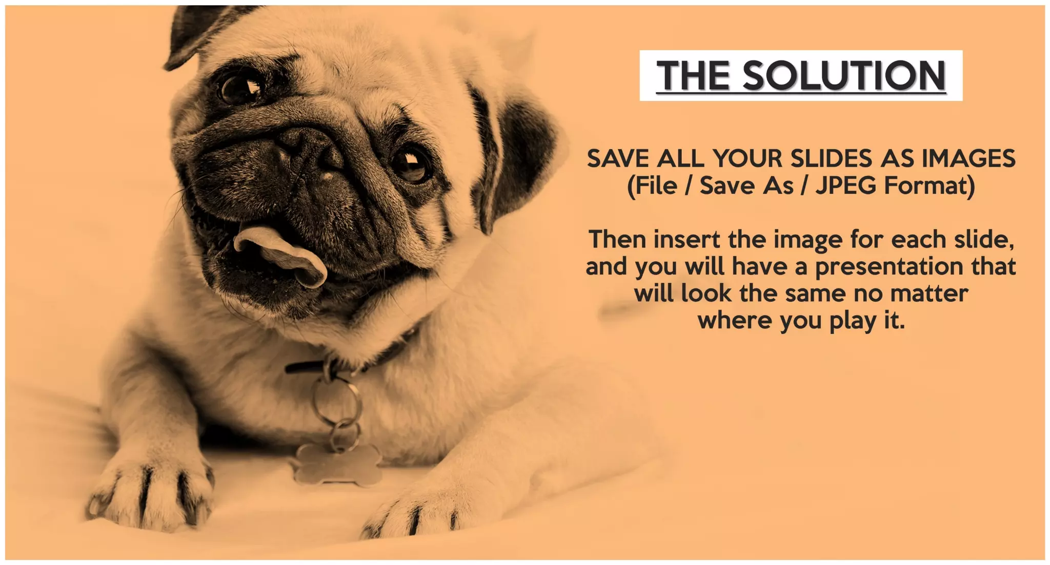 THE SOLUTION
SAVE ALL YOUR SLIDES AS IMAGES
(File / Save As / JPEG Format)
Then insert the image for each slide,
and you will have a presentation that
will look the same no matter
where you play it.
 