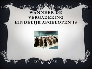 WANNEER DE
    VERGADERING
EINDELIJK AFGELOPEN IS
 