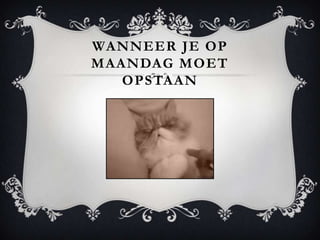 WANNEER JE OP
MAANDAG MOET
   OPSTAAN
 