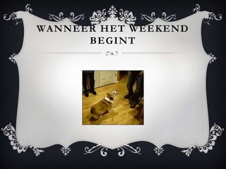 WANNEER HET WEEKEND
      BEGINT
 