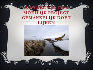 WANNEER JE EEN
MOEILIJK PROJECT
GEMAKKELIJK DOET
     LIJKEN
 