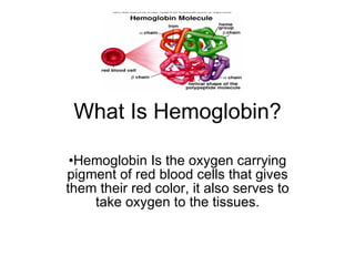 What Is Hemoglobin? ,[object Object]