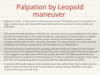 power point second lecture.pptx obgyn... | PPT