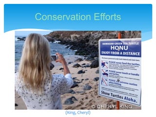 Conservation Efforts
(King, Cheryl)
 