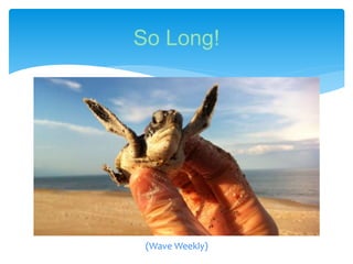 So Long!
(Wave Weekly)
 