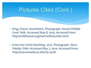  King, Cheryl. HonuWatch. Photograph. Hawaii Wildlife
Fund. Web. Accessed May 8, 2014. Accessed from:
http://wildhawaii.org/marinelife/turtles.html
 Green Sea Turtle Hatchling. 2013. Photograph. Wave
Weekly. Web. Accessed May 7, 2014. Accessed from:
http://waveweekly.ju.edu/?p=3528
Pictures Cited (Cont.)
 