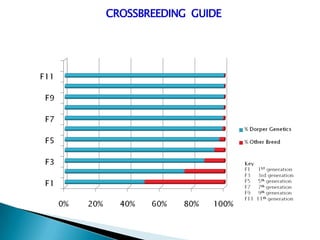 CROSSBREEDING GUIDE
 