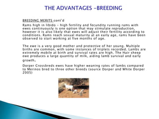 BREEDING MERITS cont’d
Rams high in libido - high fertility and fecundity running rams with
ewes continuously is one option that may stimulate reproduction,
however it is also likely that ewes will adjust their fertility according to
conditions. Rams reach sexual maturity at an early age, rams have been
observed to start working at five months of age.

The ewe is a very good mother and protective of her young. Multiple
births are common, with some instances of triplets recorded. Lambs are
extremely mobile at birth and survival rates are high. The Hair sheep
ewe produces a large quantity of milk, aiding lamb survival and early
growth .
Dorper Crossbreds ewes have higher weaning rates of lambs compared
to Merinos bred to three other breeds (source Dorper and White Dorper
2005)
 
