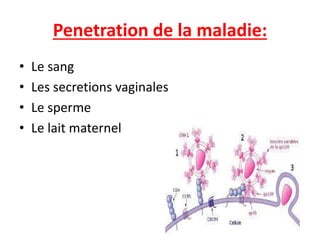Penetration de la maladie:
• Le sang
• Les secretions vaginales
• Le sperme
• Le lait maternel
 