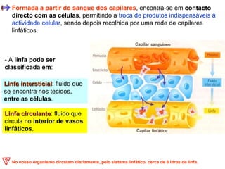 - A  linfa pode ser classificada em : Linfa intersticial : fluido que se encontra nos tecidos,  entre as células . Formada a partir do sangue dos capilares , encontra-se em  contacto directo com as células , permitindo a  troca de produtos indispensáveis à actividade celular , sendo depois recolhida por uma rede de capilares linfáticos.  Linfa circulante : fluido que circula no  interior de vasos linfáticos . No nosso organismo circulam diariamente, pelo sistema linfático, cerca de 8 litros de linfa. 