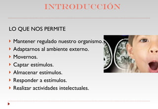 Introducción LO QUE NOS PERMITE Mantener regulado nuestro organismo. Adaptarnos al ambiente externo. Movernos. Captar estímulos. Almacenar estímulos. Responder a estímulos. Realizar actividades intelectuales. 