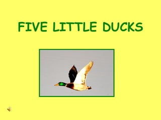 FIVE LITTLE DUCKS 