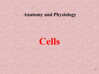 3-1 Anatomy and Physiology Cells 