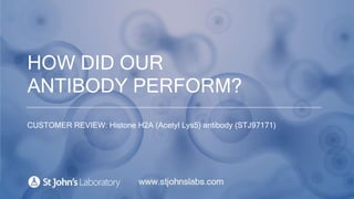 HOW DID OUR
ANTIBODY PERFORM?
CUSTOMER REVIEW: Histone H2A (Acetyl Lys5) Polyclonal Antibody (STJ97171)
 