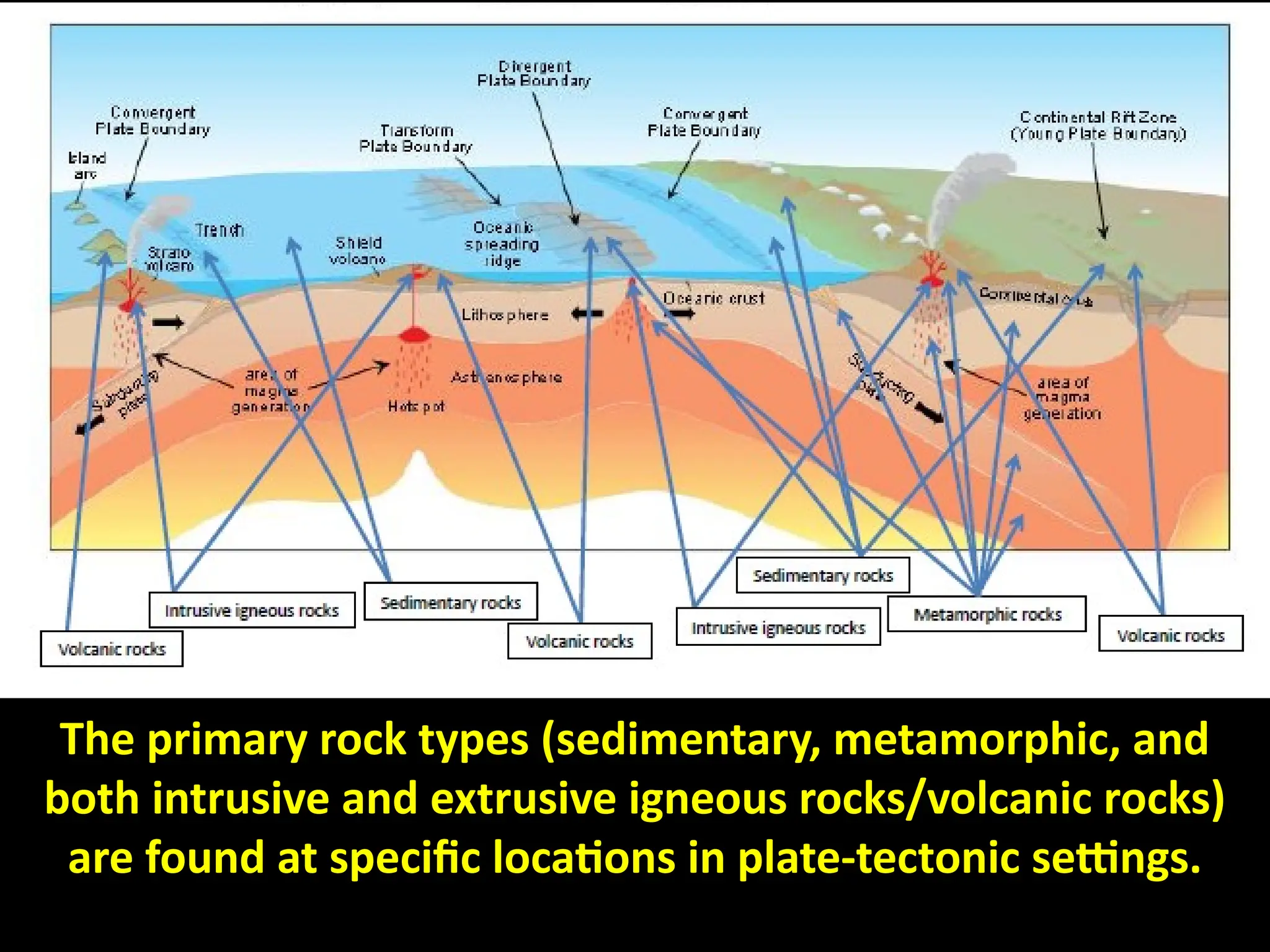 The primary rock types (sedimentary, metamorphic, and
both intrusive and extrusive igneous rocks/volcanic rocks)
are found at specific locations in plate-tectonic settings.
 