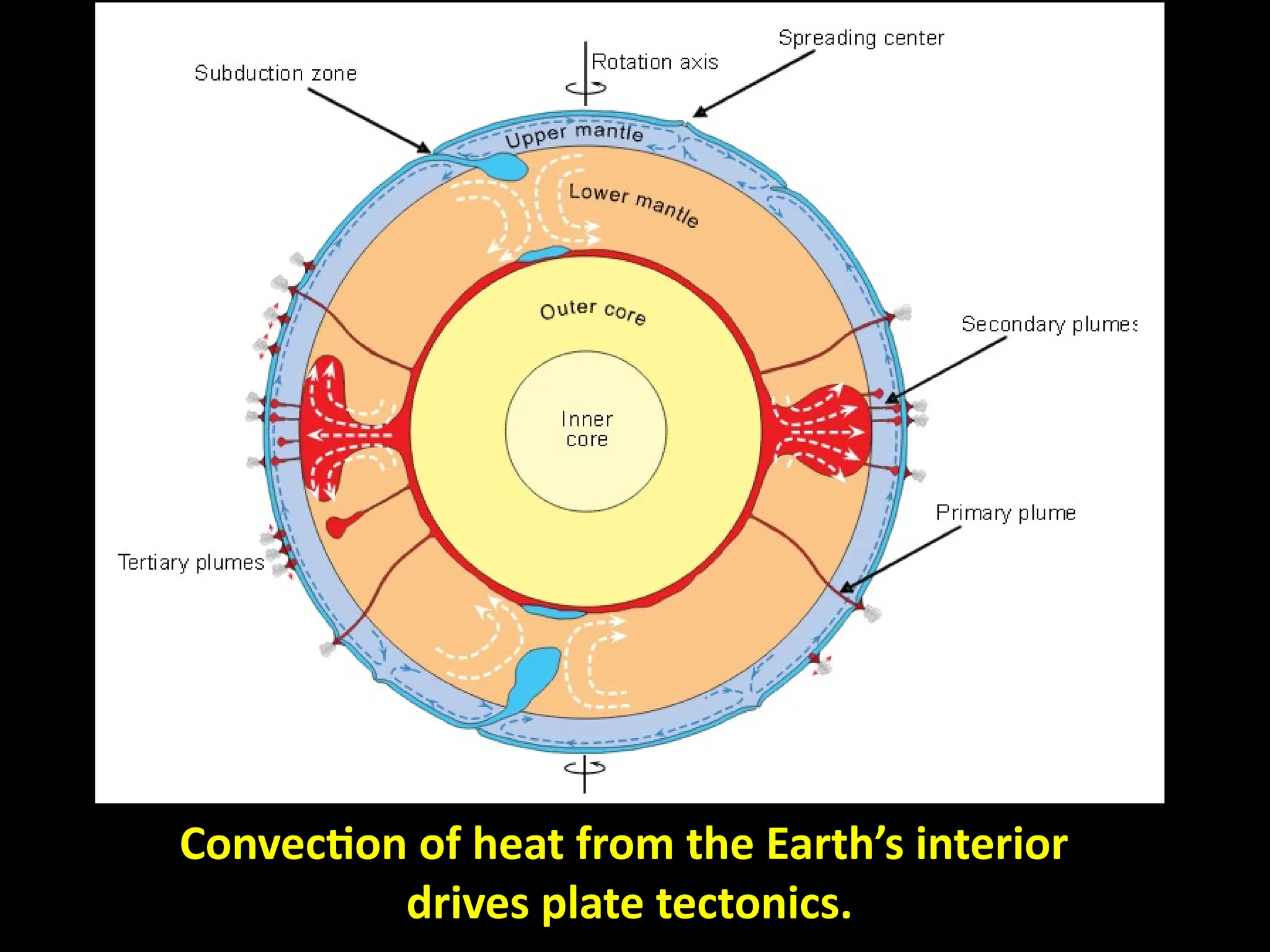 Convection of heat from the Earth’s interior
drives plate tectonics.
 
