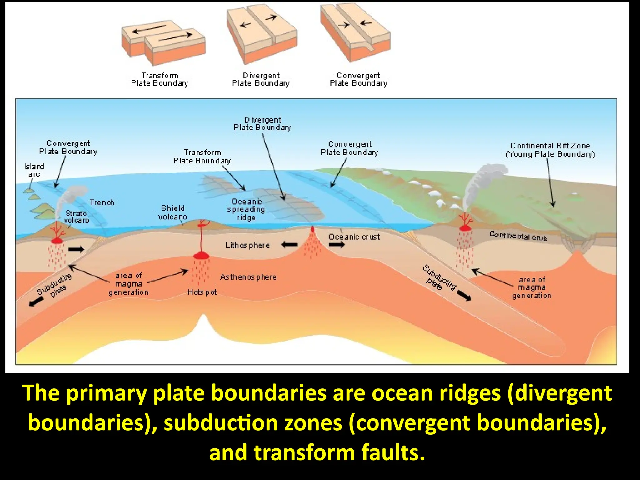 The primary plate boundaries are ocean ridges (divergent
boundaries), subduction zones (convergent boundaries),
and transform faults.
 