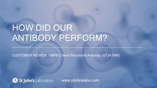 HOW DID OUR
ANTIBODY PERFORM?
CUSTOMER REVIEW: VAPB C-term Polyclonal Antibody (STJ47066)
 