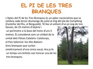 EL PI DE LES TRES
BRANQUES
L'Aplec del Pi de les Tres Branques és un aplec nacionalista que se
celebra cada tercer diumenge de juliol al mig del pla de Campllong
(Castellar del Riu, el Berguedà). Té lloc al voltant d'un pi roig de tres
besses, de 25 metres d'alçària i
un perímetre a la base del tronc d'uns 5
metres. És considerat com un símbol de la
unitat dels Països Catalans: Catalunya,
el País Valencià i les Illes Balears
(tres branques que surten
simètricament d'una única soca). Ara ja fa
un temps uns brètols van trencar una de les
tres branques.
 