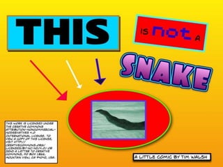 This Not a Snake