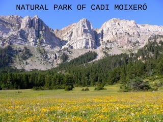 NATURAL PARK OF CADI MOIXERÓ
 