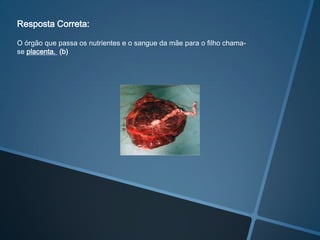 Resposta Correta:

O órgão que passa os nutrientes e o sangue da mãe para o filho chama-
se placenta. (b)
 