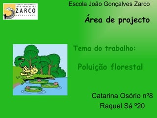 Escola João Gonçalves Zarco Área de projecto   Tema do trabalho:   Poluição florestal   Catarina Osório nº8 Raquel Sá º20 
