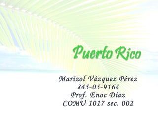 Marizol Vázquez Pérez 845-05-9164 Prof. Enoc Díaz COMU 1017 sec. 002 