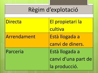 Directa El propietari la
cultiva
Arrendament Està llogada a
canvi de diners.
Parceria Està llogada a
canvi d’una part de
la producció.
Règim d’explotació
 
