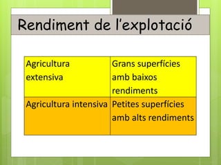 Agricultura
extensiva
Grans superfícies
amb baixos
rendiments
Agricultura intensiva Petites superfícies
amb alts rendiments
Rendiment de l’explotació
 