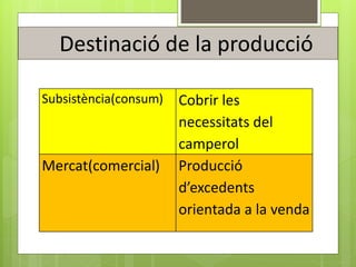 Subsistència(consum) Cobrir les
necessitats del
camperol
Mercat(comercial) Producció
d’excedents
orientada a la venda
Destinació de la producció
 