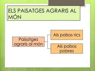ELS PAISATGES AGRARIS AL
MÓN
Paisatges
agraris al món
Als països rics
Als països
pobres
 