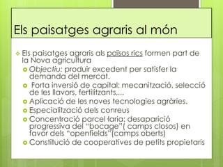 Els paisatges agraris al món
 Els paisatges agraris als països rics formen part de
la Nova agricultura
 Objectiu: produir excedent per satisfer la
demanda del mercat.
 Forta inversió de capital: mecanització, selecció
de les llavors, fertilitzants,...
 Aplicació de les noves tecnologies agràries.
 Especialització dels conreus
 Concentració parcel·laria: desaparició
progressiva del “bocage”( camps closos) en
favor dels “openfields”(camps oberts)
 Constitució de cooperatives de petits propietaris
 