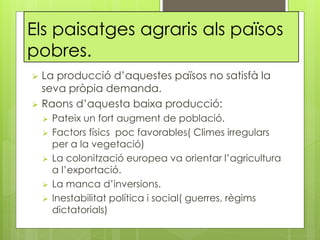 Els paisatges agraris als països
pobres.
 La producció d’aquestes països no satisfà la
seva pròpia demanda.
 Raons d’aquesta baixa producció:
 Pateix un fort augment de població.
 Factors físics poc favorables( Climes irregulars
per a la vegetació)
 La colonització europea va orientar l’agricultura
a l’exportació.
 La manca d’inversions.
 Inestabilitat política i social( guerres, règims
dictatorials)
 