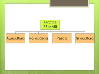 SECTOR
PRIMARI
Agricultura Ramaderia Pesca Silvicultura
 