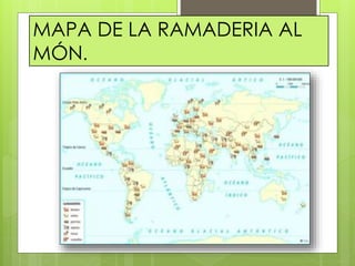 MAPA DE LA RAMADERIA AL
MÓN.
 