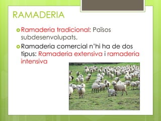 RAMADERIA
Ramaderia tradicional: Països
subdesenvolupats.
Ramaderia comercial n’hi ha de dos
tipus: Ramaderia extensiva i ramaderia
intensiva
 
