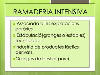 RAMADERIA INTENSIVA
 Associada a les explotacions
agràries
 Estabulació(granges o estables)
tecnificada.
Industria de productes làctics
derivats.
Granges de bestiar porcí.
 