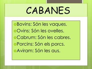CABANES
Bovins: Són les vaques.
Ovins: Són les ovelles.
Cabrum: Són les cabres.
Porcins: Són els porcs.
Aviram: Són les aus.
 
