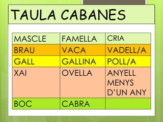 TAULA CABANES
MASCLE FAMELLA CRIA
BRAU VACA VADELL/A
GALL GALLINA POLL/A
XAI OVELLA ANYELL
MENYS
D’UN ANY
BOC CABRA
 