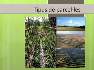 Tipus de parcel·les
 