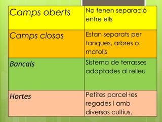 Camps oberts No tenen separació
entre ells
Camps closos Estan separats per
tanques, arbres o
matolls
Bancals Sistema de terrasses
adaptades al relleu
Hortes Petites parcel·les
regades i amb
diversos cultius.
 