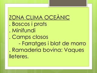 ZONA CLIMA OCEÀNIC
. Boscos i prats
. Minifundi
. Camps closos
- Farratges i blat de morro
. Ramaderia bovina: Vaques
lleteres.
 