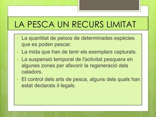 LA PESCA UN RECURS LIMITAT
• La quantitat de peixos de determinades espècies
que es poden pescar.
• La mida que han de tenir els exemplars capturats.
• La suspensió temporal de l'activitat pesquera en
algunes zones per afavorir la regeneració dels
caladors.
• El control dels arts de pesca, alguns dels quals han
estat declarats il·legals.
 